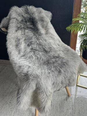 Schapenvachten  - Heidschnucke - aa