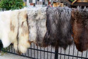 Schapenvachten  - Heidschnucke - beauty-heidschnucke-sheepskin