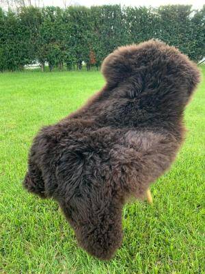 Schapenvachten  - Zweedse - brown-swedish-sheepskins-adam-leather