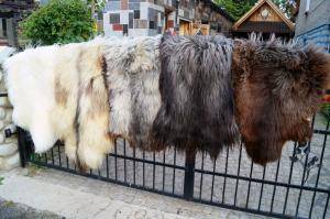 Schapenvachten  - Heidschnucke - decorative-heidschnucke-sheepskin