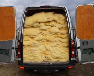 Schapenvachten  - Relugan - glamorous-relugan-sheepskin