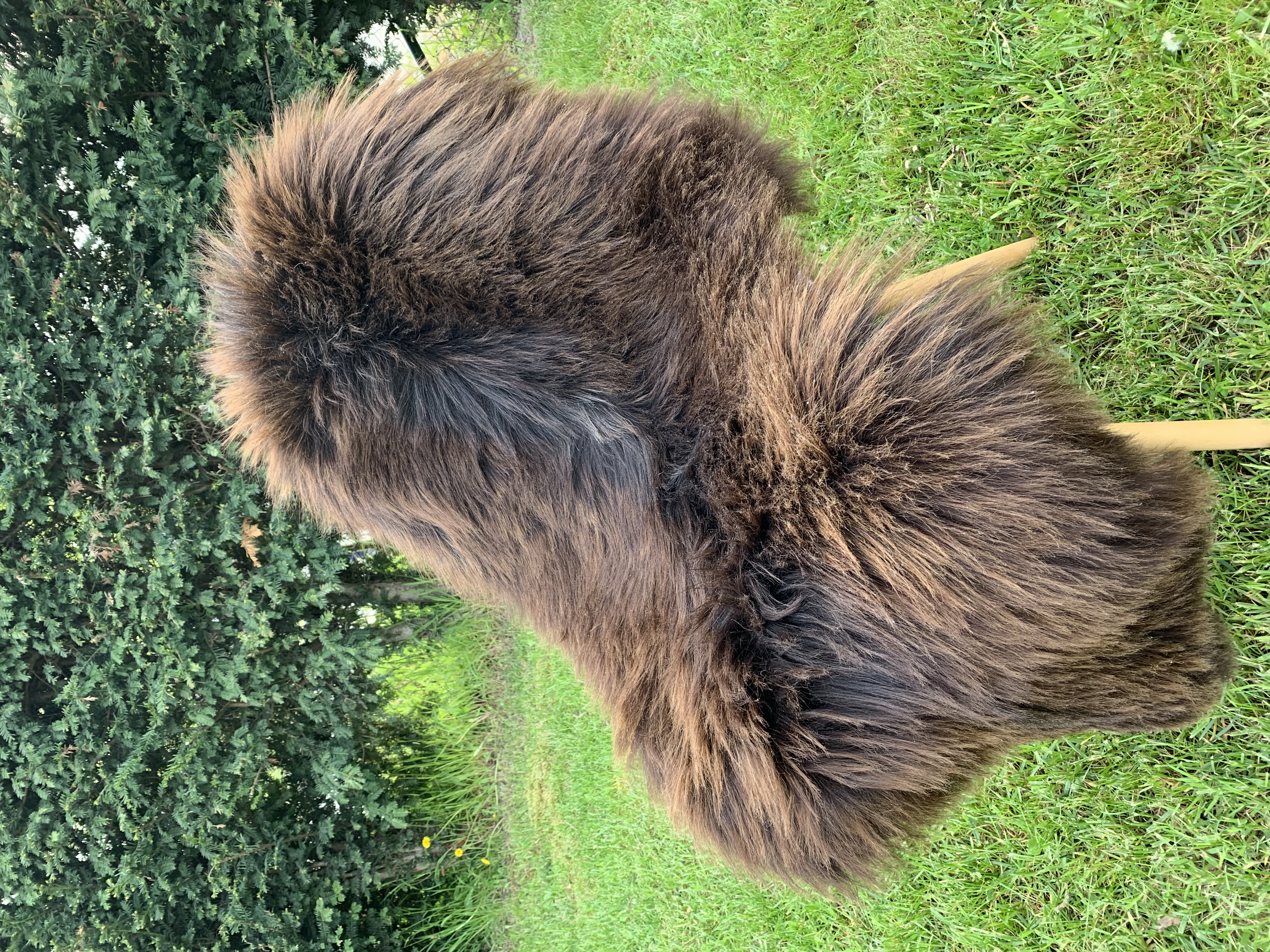 Schapenvachten  - Heidschnucke - heidschnucke-adam-leather-sheepskin