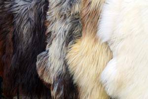 Schapenvachten  - Heidschnucke - heidschnucke-pretty-sheepskin