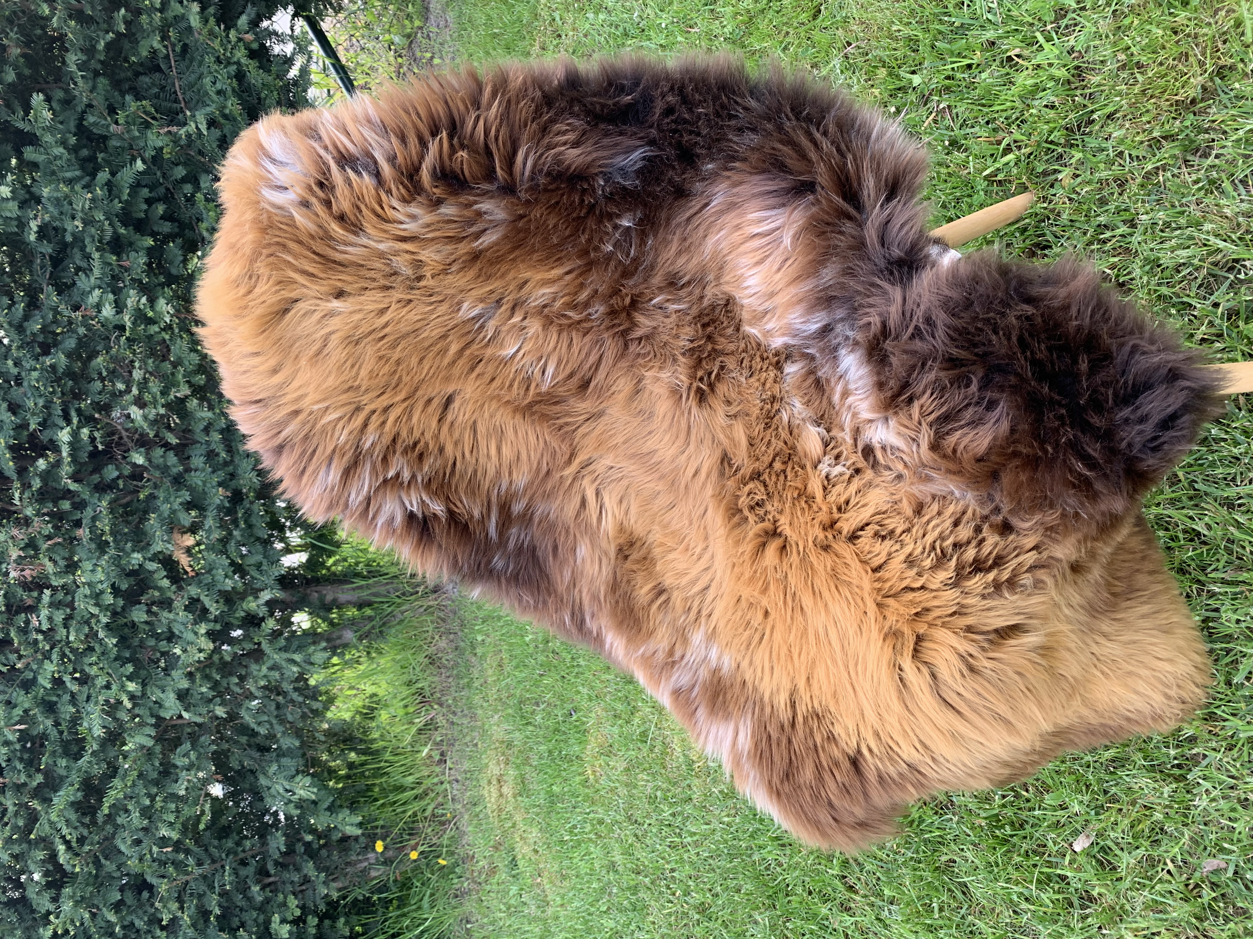 Schapenvachten  - Zweedse - hot-chilli-pepers-swedish-sheepskins-adam-leather
