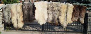 Schapenvachten  - Heidschnucke - natural-heidschnucke-sheepskin