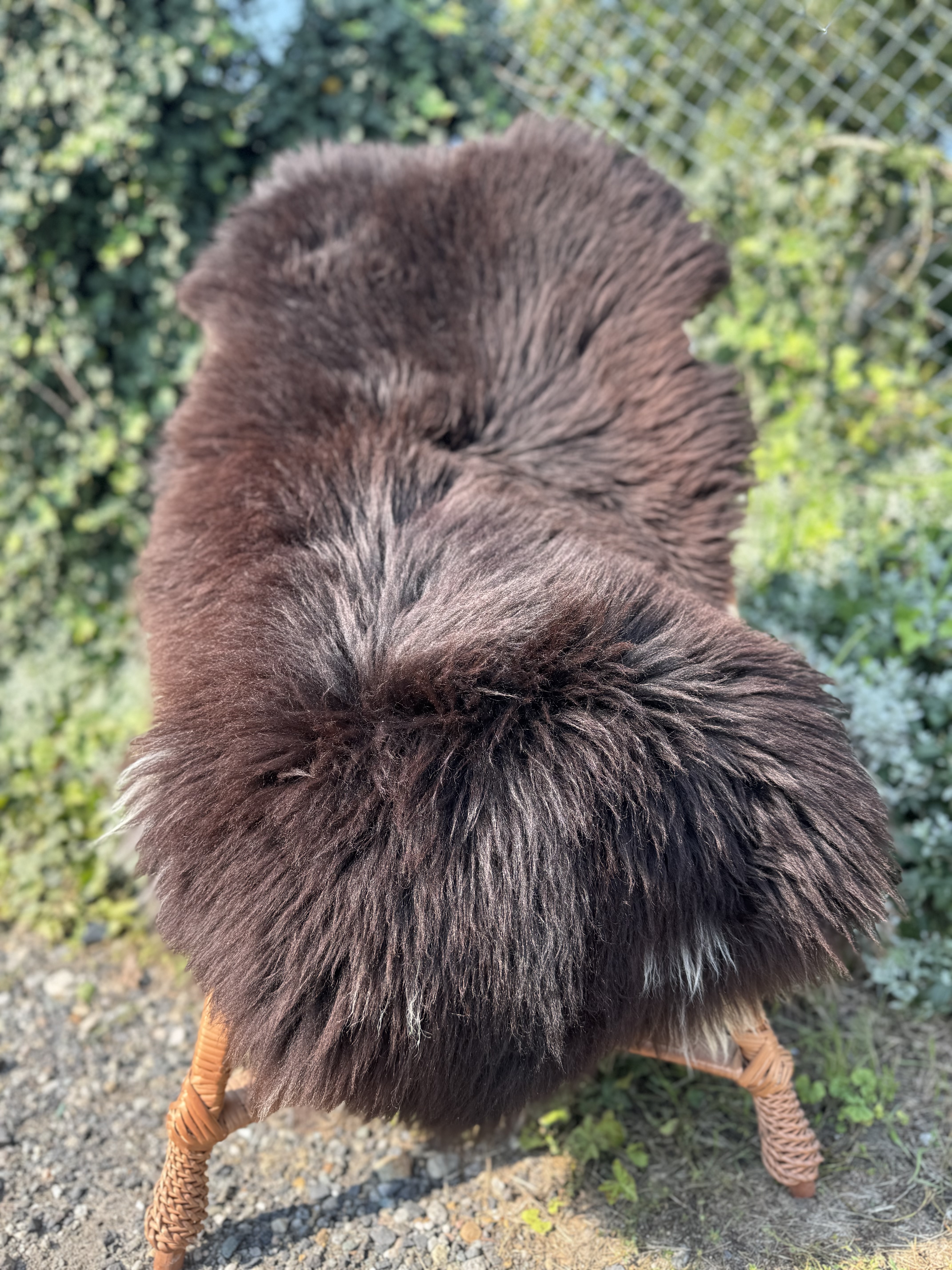 Schapenvachten  - Heidschnucke - skry-owcze-heidschuncke-sheepskin-schapenvacht-peau-de-mouton-frskinn-ovia-koa-ov-ke1