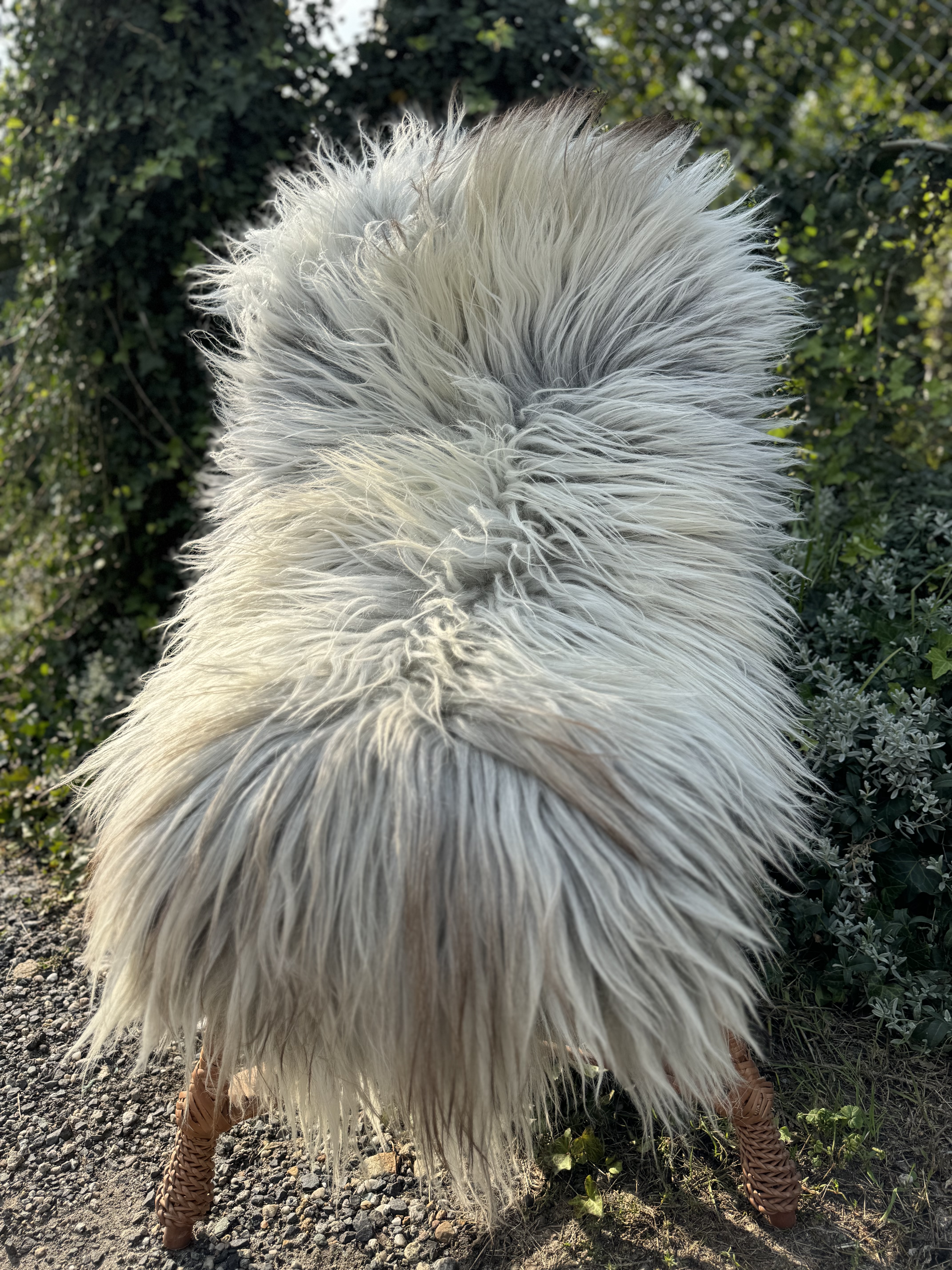 Schapenvachten  - Heidschnucke - skry-owcze-heidschuncke-sheepskin-schapenvacht-peau-de-mouton-frskinn-ovia-koa-ov-ke2