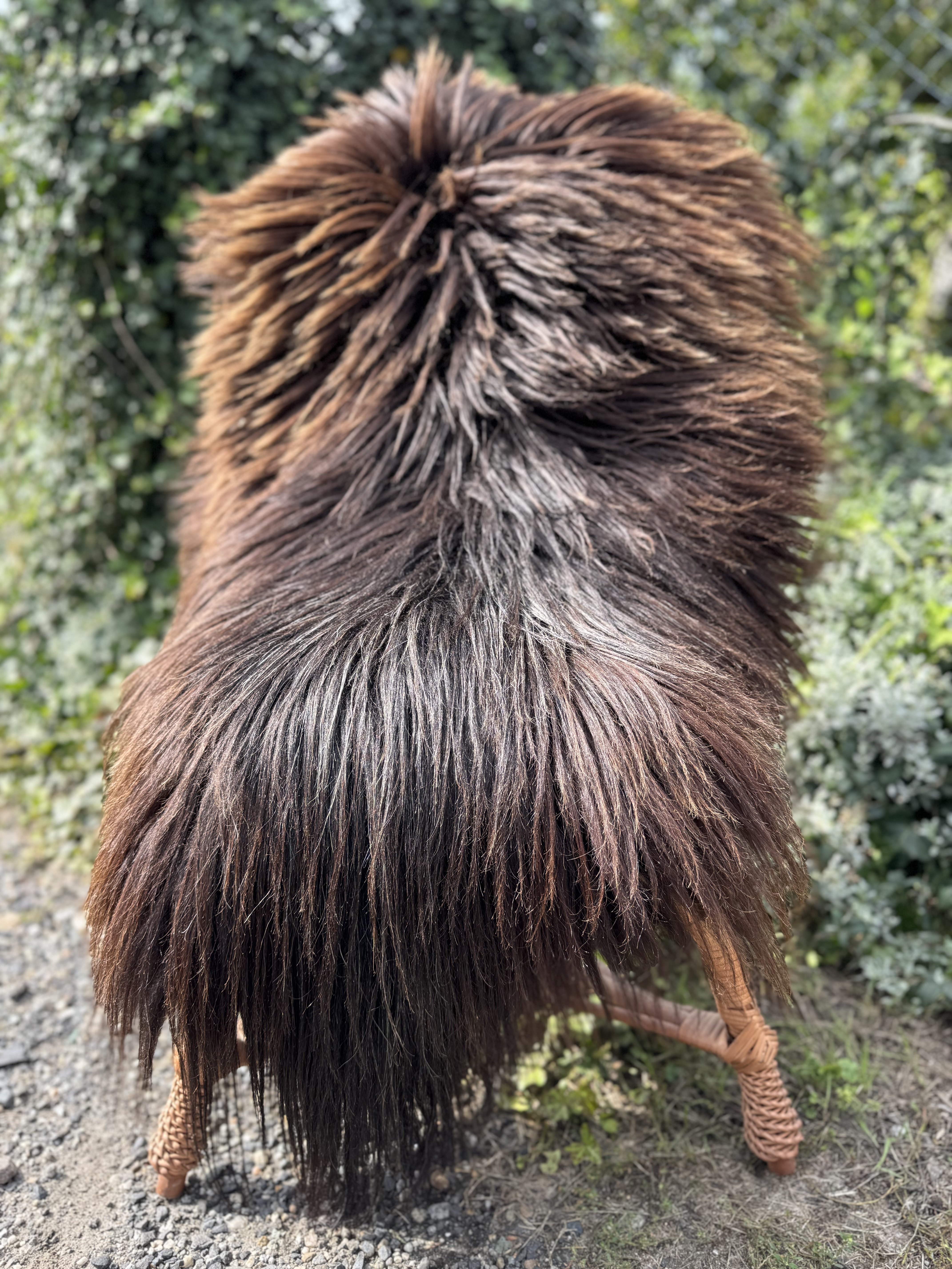 Schapenvachten  - Heidschnucke - skry-owcze-heidschuncke-sheepskin-schapenvacht-peau-de-mouton-frskinn-ovia-koa-ov-ke3