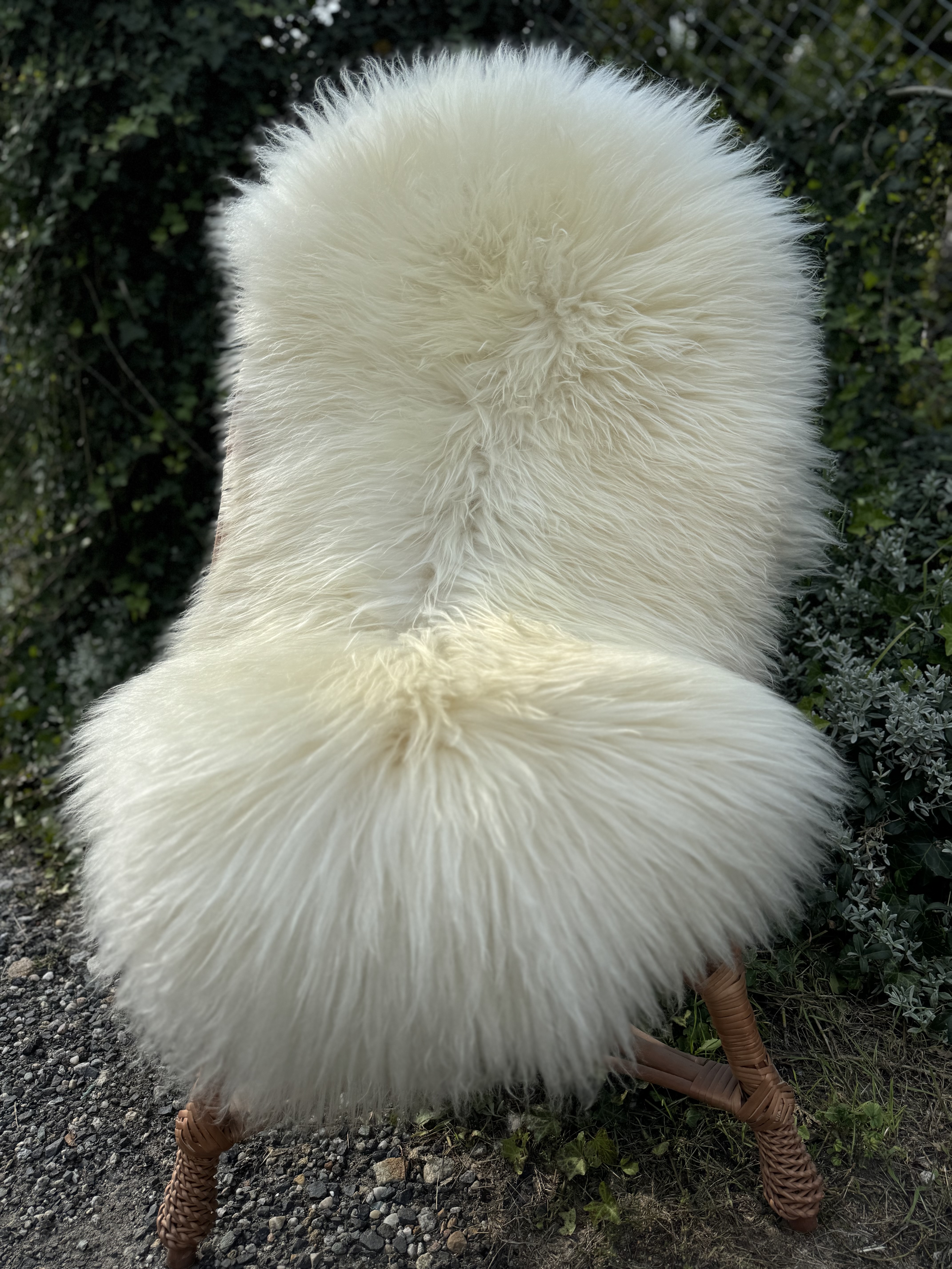 Schapenvachten  - Heidschnucke - skry-owcze-heidschuncke-sheepskin-schapenvacht-peau-de-mouton-frskinn-ovia-koa-ov-ke4
