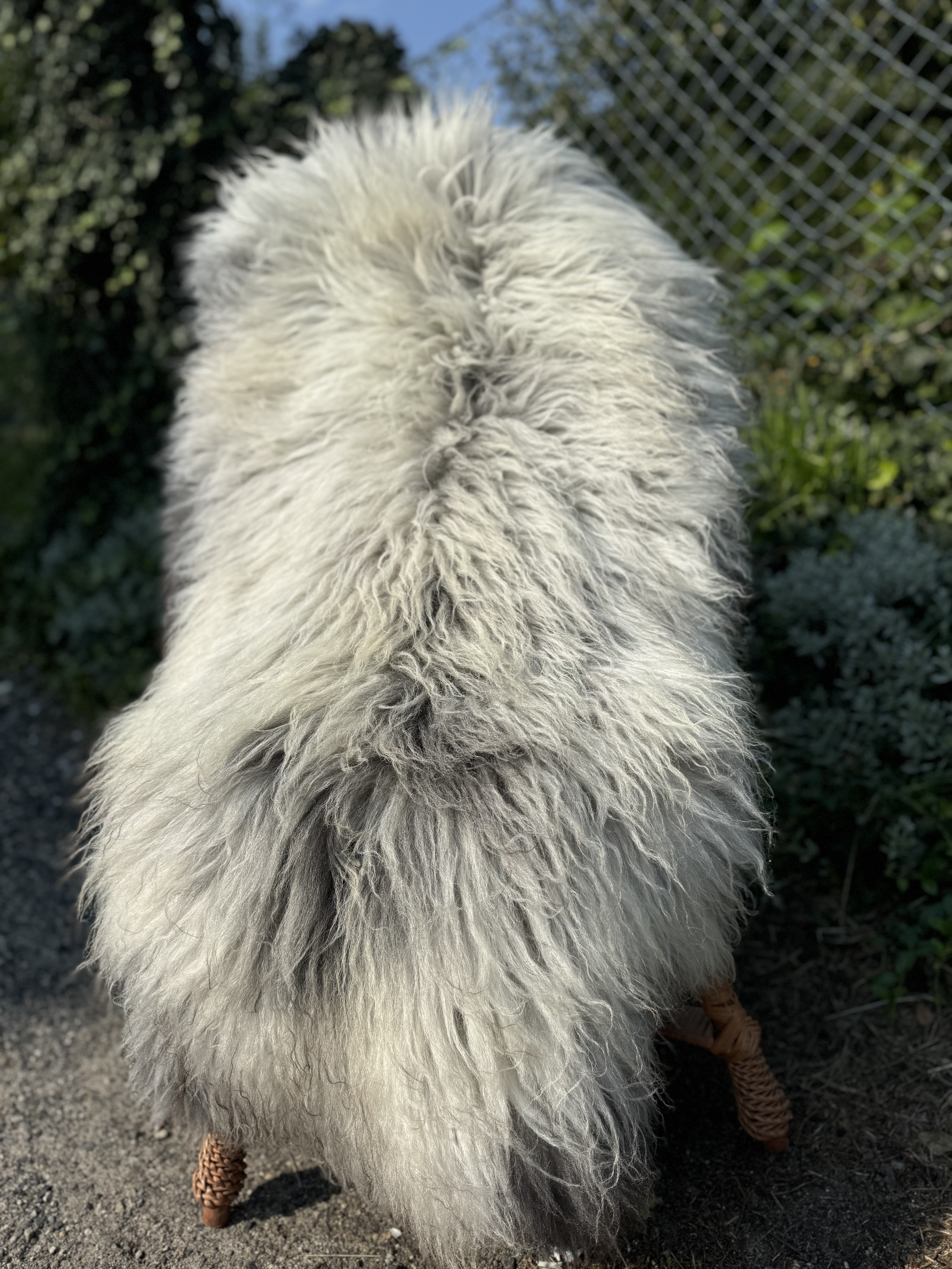 Schapenvachten  - Heidschnucke - skry-owcze-heidschuncke-sheepskin-schapenvacht-peau-de-mouton-frskinn-ovia-koa-ov-ke