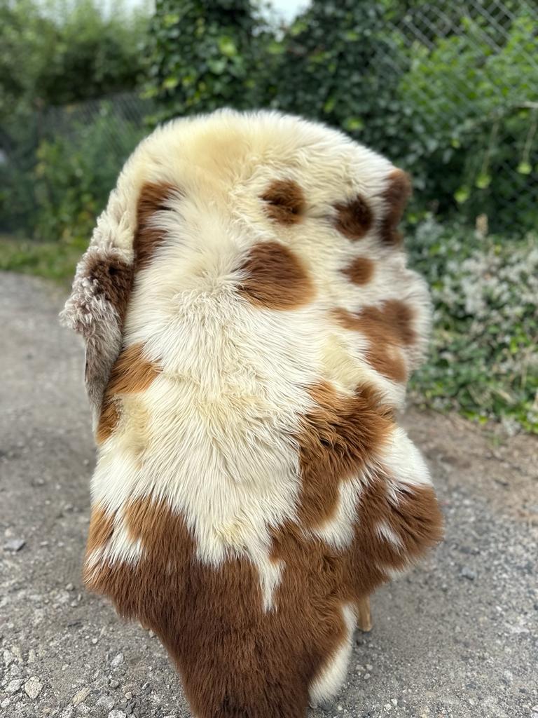 Schapenvachten  - Zweedse - swedish-polka-dot-adam-leather