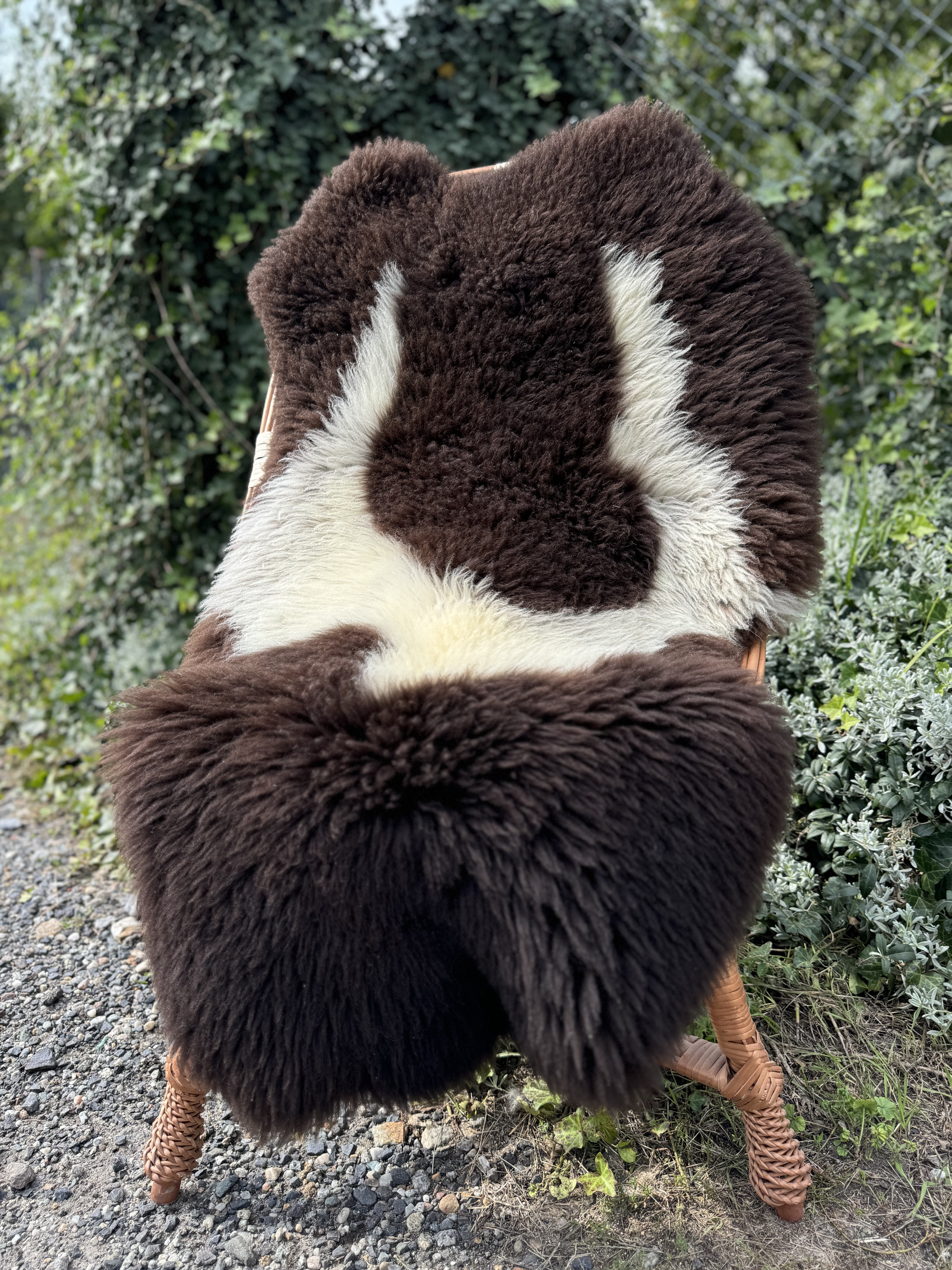 Schapenvachten  - Zweedse - szwedzkie-skry-owcze-swedish-sheepskins-schwedische-schaffelle-zweedse-schapenvachten-peaux-de-mouton-sudoises1
