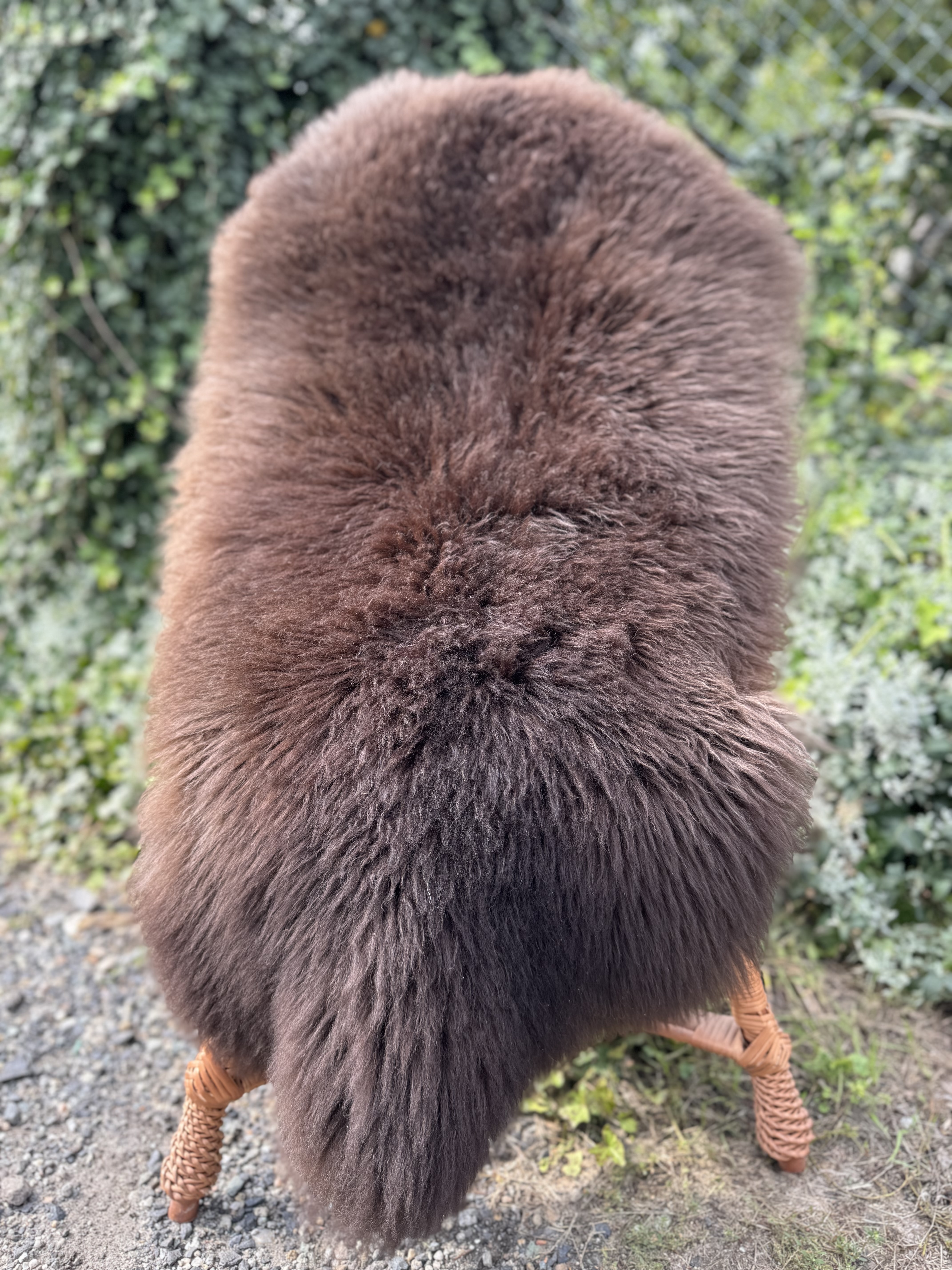 Schapenvachten  - Zweedse - szwedzkie-skry-owcze-swedish-sheepskins-schwedische-schaffelle-zweedse-schapenvachten-peaux-de-mouton-sudoises2