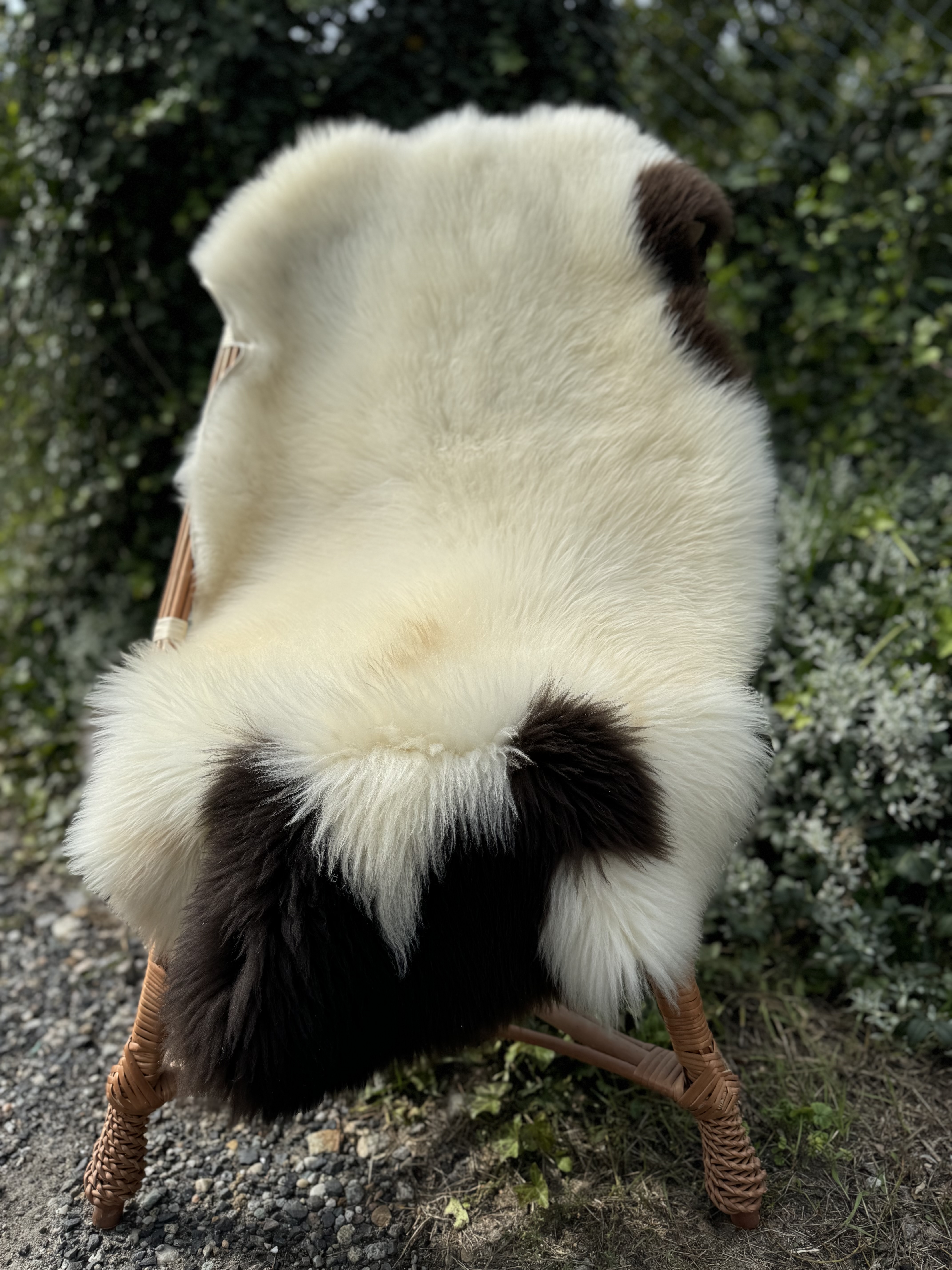 Schapenvachten  - Zweedse - szwedzkie-skry-owcze-swedish-sheepskins-schwedische-schaffelle-zweedse-schapenvachten-peaux-de-mouton-sudoises4