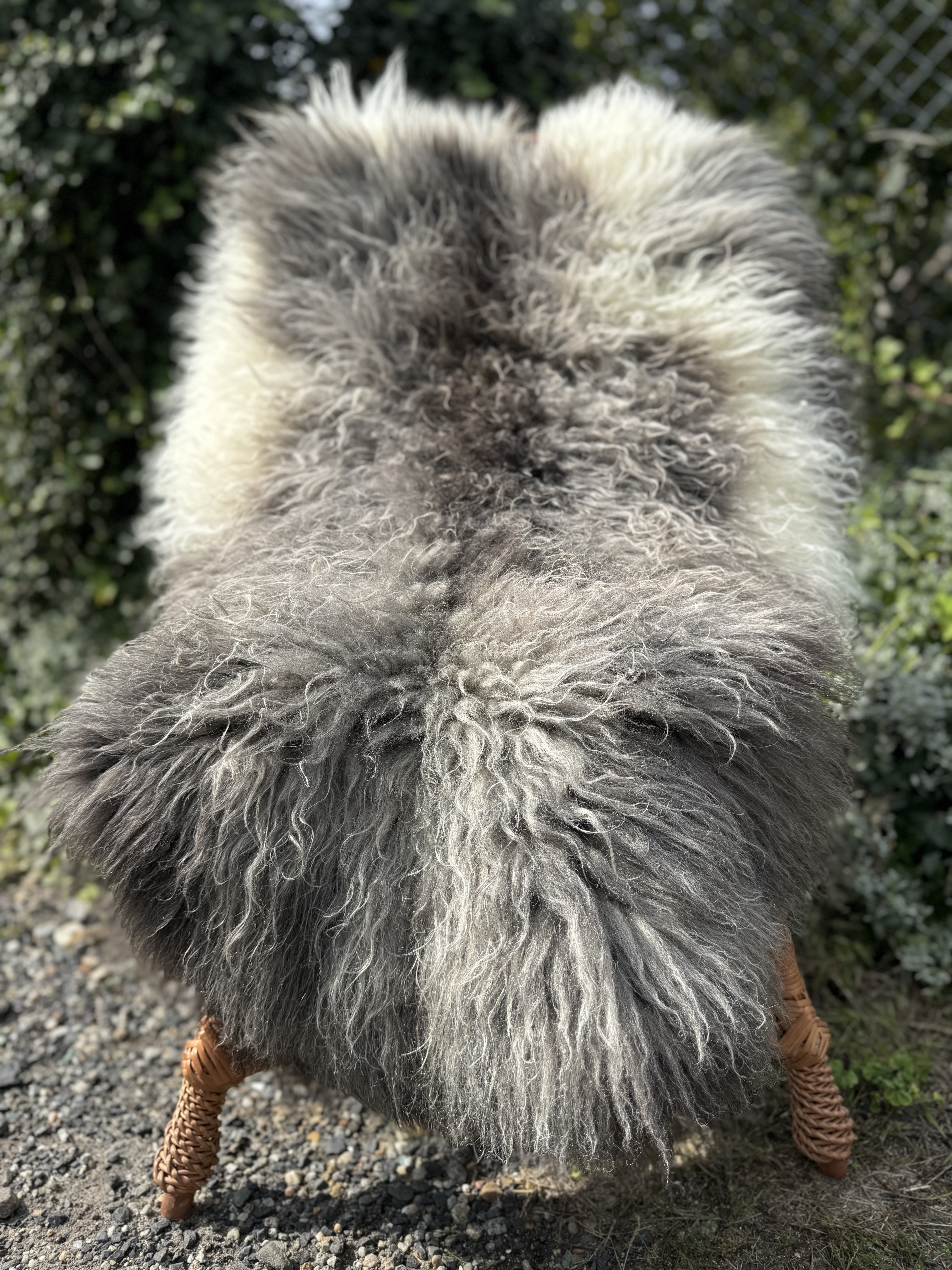 Schapenvachten  - Zweedse - szwedzkie-skry-owcze-swedish-sheepskins-schwedische-schaffelle-zweedse-schapenvachten-peaux-de-mouton-sudoises