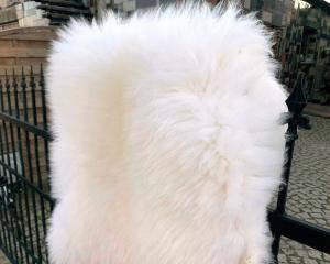 Schapenvachten  - Natuurlijke schapenhuid - white-natural-sheepskins-sheep-adam-leather