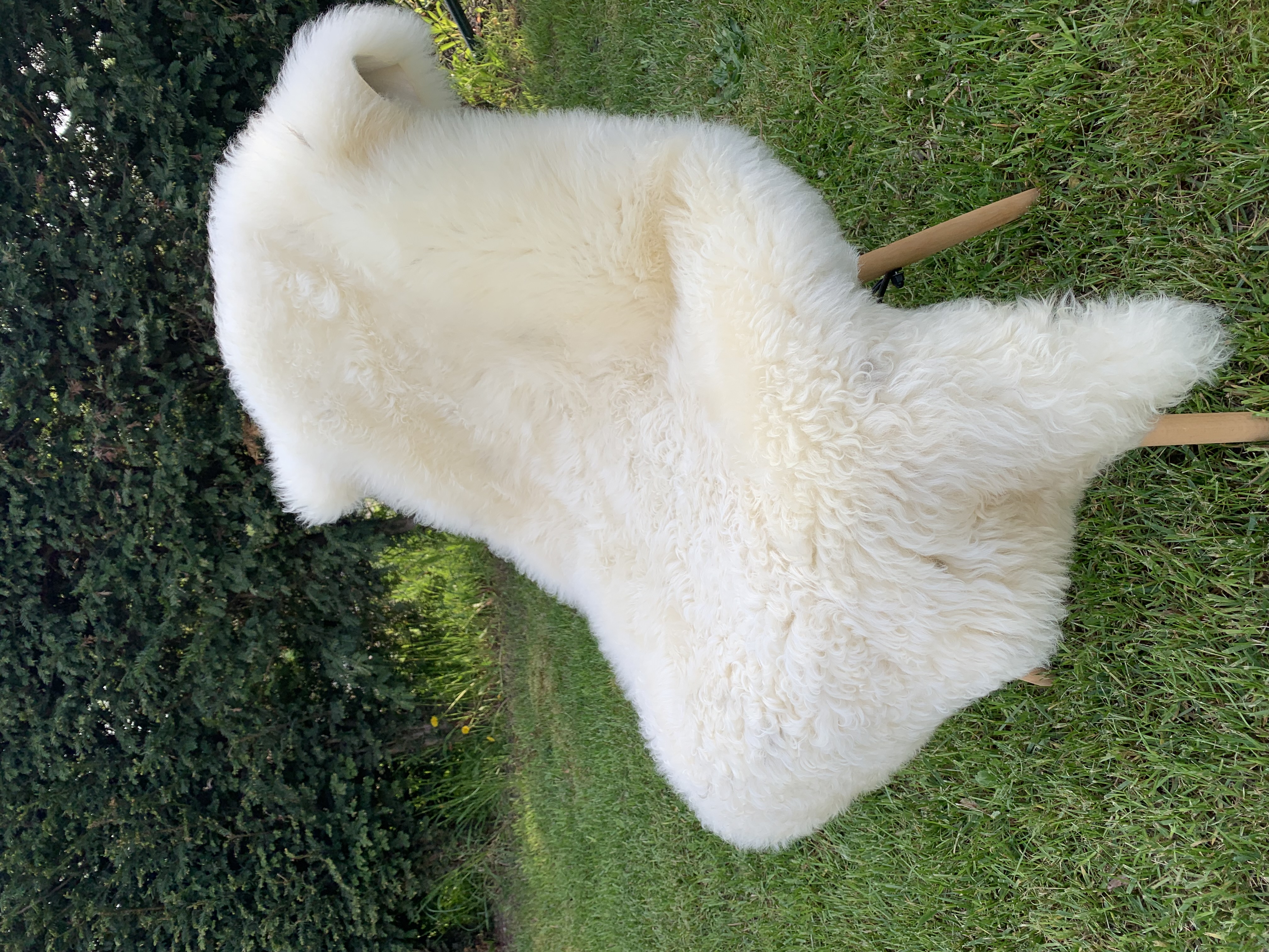 Schapenvachten  - Zweedse - white-swedish-sheepskins-adam-leather