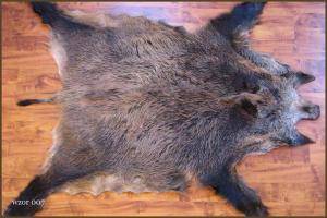 Schapenvachten  - Everzwijnvachten - beauty-boar-skins-adam-leather