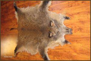Schapenvachten  - Everzwijnvachten - original-boar-skins-adam-leather