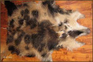 Schapenvachten  - Everzwijnvachten - superb-boar-skins-adam-leather