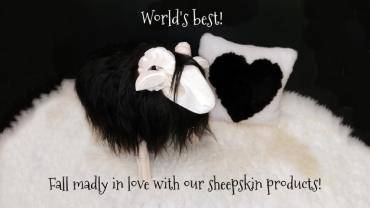 Schapenvachten  - De beste van de wereld! Word smoorverliefd op onze schapenvachtproducten!