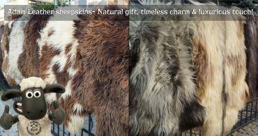Schapenvachten  - Adam Leather decoratieve schapenvachten - het zijn niet alleen mooie accenten!