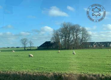 Schapenvachten  - Natuurlijke schapenvacht, wol, bont - een verscheidenheid aan vormen, luxueuze texturen, rijke kleuren! Dit zijn slechts enkele eigenschappen die Onze Schapenvachten tot een uniek 100% natuurlijk product maken!