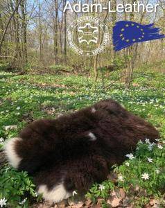 Schapenvachten  - Onze huiden zijn een wonder van de natuur!