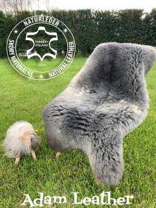 Schapenvachten  - De pracht van Hollandse en Texelse schapenvachten garanderen u comfort en warmte!