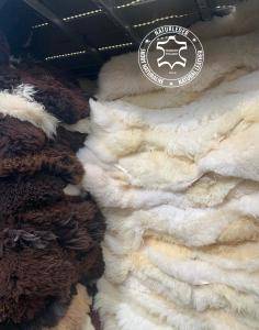 Schapenvachten  - Luxemburg! Onze schapenvachten van Adam Leather 