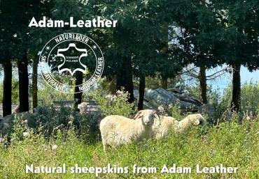 Schapenvachten  - Siesta is in volle gang! schapenvacht! Gemaakt door de natuur - Gemaakt door Adam Leather!