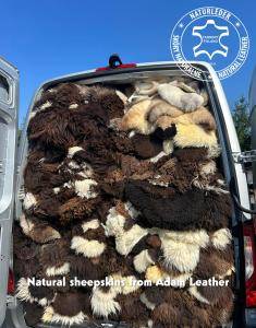 Schapenvachten  - Zakenreis naar Nederland met onze natuurlijke schapenvachten!