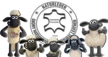 Schapenvachten  - Een stukje over ons bedrijf!