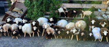 Schapenvachten  - Natuurlijk lamsleer - een onmisbaar decoratie-element deze winter!