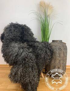 Schapenvachten  - Natuurlijke schapenvachten Gotland - Adam Leather