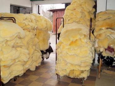 Schapenvachten  - Relugan schapenvacht - NATUURLIJK CADEAU - vaak gebruikt voor therapeutische doeleinden...