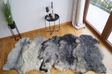Schapenvachten  - Een uniek pakket van 50 Gotland schapenvachten!