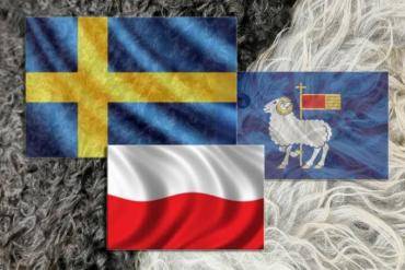 Schapenvachten  - Gotland schapenvachten van Visby! Trakteer uzelf op luxe elegante schapenvacht van Gotland!