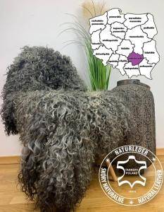 Schapenvachten  - Welkom in de wereld van de schoonheid van natuurlijke schapenvachten - Leerlooierij, Świętokrzyskie, Polen.