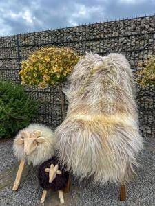 Schapenvachten  - Voorjaarsverfrissing met natuurlijke schapenvachten