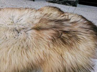 Schapenvachten  - Warm en aangenaam - natuurlijke Melarade schapenvachten