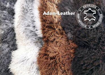 Schapenvachten  - HOOGSTE KWALITEIT van ADAM LEER