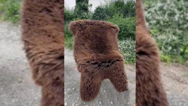 Schapenvachten  - Dompel jezelf onder in de zachte omhelzing van de Hollandse schapenvacht van de natuur!