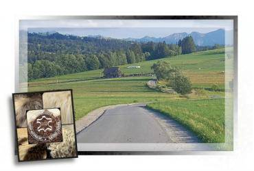 Schapenvachten  - Schapen portretten