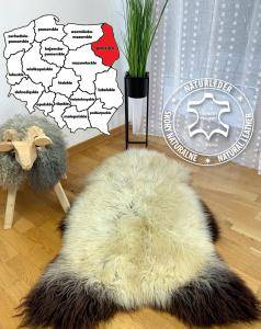 Schapenvachten  - Schapenvachten Białystok, woiwodschap Podlaskie, Polen