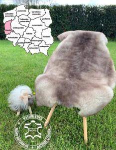 Schapenvachten  - Schapenvachten Lubuskie Zielona Góra - Woiwodschap Lubuskie, Polen