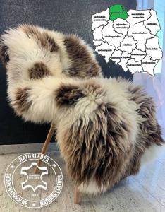 Schapenvachten  - Schapenvachten Sopot - Leerlooierij, Pommeren, Polen