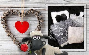 Schapenvachten  - Valentijnsdag!