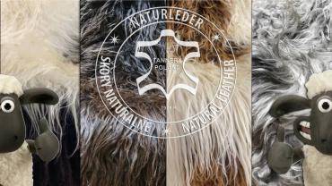 Schapenvachten  - Langharige schapenvachten van Adam Leather