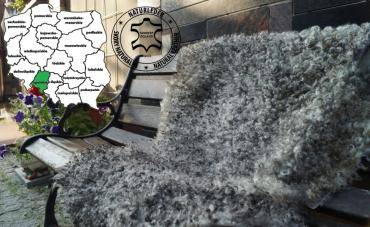 Schapenvachten  - Mooie donzige schapenvachten - leerlooierij, woiwodschap Opole - Polen